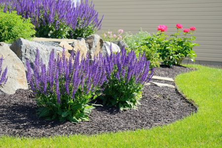10 Simple Landscaping Ideas For Your Front Yard