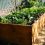 10 Things You Need to Know About Raised Bed Gardening